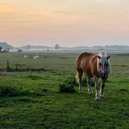 Kleine Auszeit 클루이스